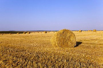 Image showing haystacks straw  . summer