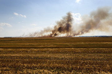 Image showing fire on the field  