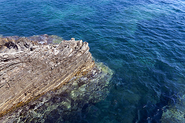 Image showing   beach. close-up. Adriatic Sea