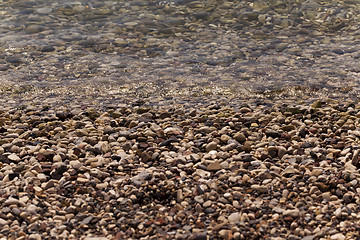 Image showing   beach. close-up. Adriatic Sea