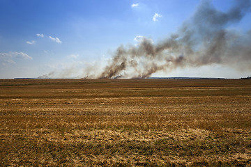 Image showing Fire in the field  