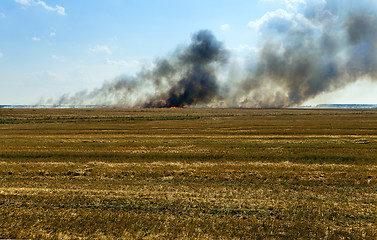 Image showing fire on the field  