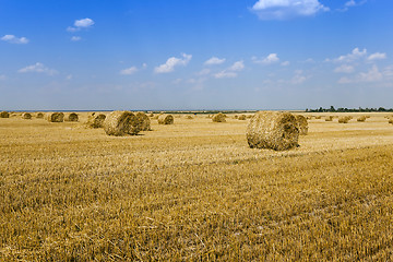 Image showing haystacks straw   summer