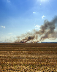 Image showing Fire in the field  