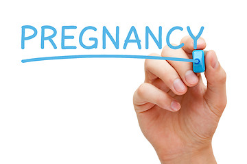 Image showing Pregnancy Blue Marker