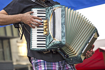 Image showing Young accordionist