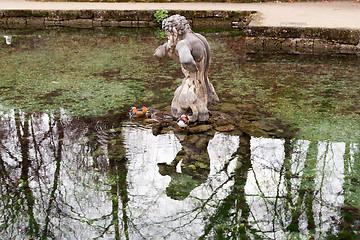 Image showing Salzburg, Austria, 11/29/2015: Mandarin duck at rest in front of a sculpture in a pond