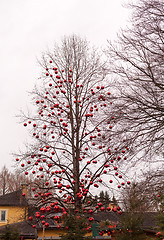 Image showing Tree with big red Christmas baubles