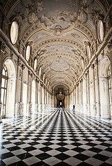 Image showing Italy - Royal Palace: Galleria di Diana, Venaria