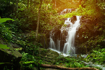 Image showing Tranquil flowing waterfall in a lush rainforest