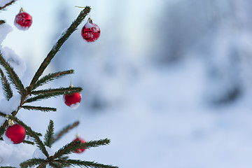 Image showing christmas balls on pine tree