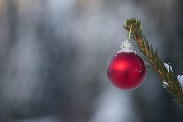 Image showing christmas balls on pine tree