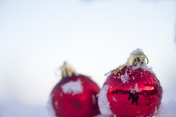 Image showing christmas balls on pine tree