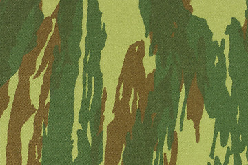 Image showing Camouflage