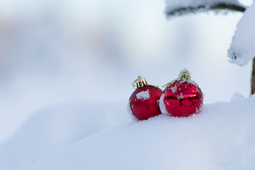 Image showing christmas balls on pine tree