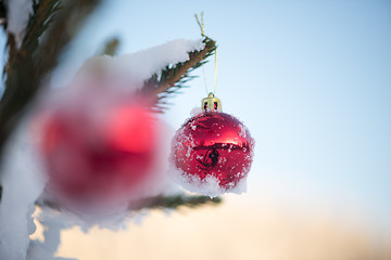 Image showing christmas balls on pine tree