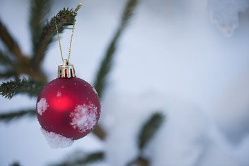 Image showing christmas balls on pine tree