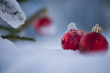 Image showing red christmas balls in fresh snow