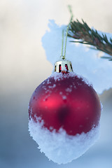 Image showing christmas balls on pine tree