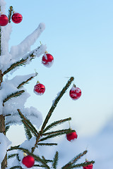 Image showing christmas balls on pine tree