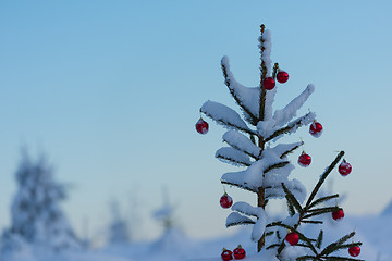 Image showing christmas balls on pine tree