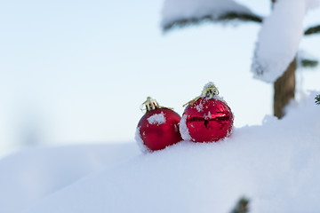 Image showing red christmas balls in fresh snow