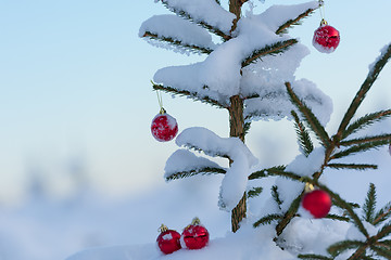 Image showing christmas balls on pine tree