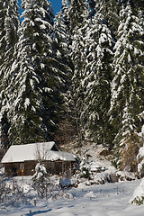 Image showing small wooden  cabin in wildernes covered with fresh snow