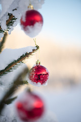 Image showing christmas balls on pine tree