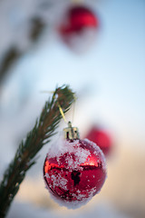 Image showing christmas balls on pine tree