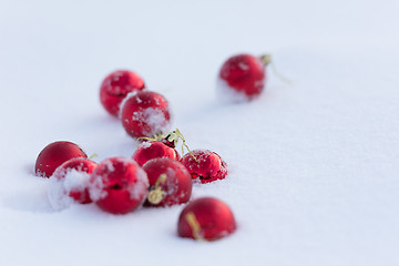 Image showing red christmas balls in fresh snow