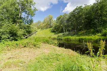 Image showing summer forest and river