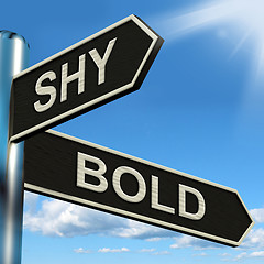 Image showing Shy Bold Signpost Means Introvert Or Extrovert