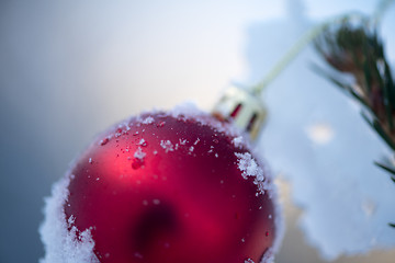 Image showing christmas balls on pine tree