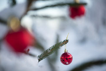 Image showing christmas balls on pine tree