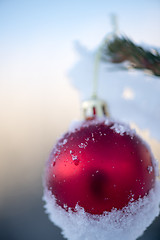 Image showing christmas balls on pine tree