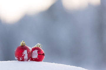 Image showing red christmas balls in fresh snow