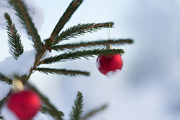 Image showing christmas balls on pine tree