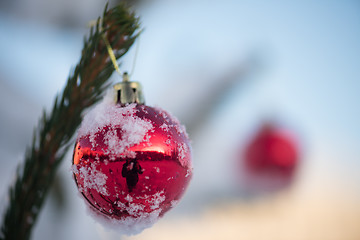 Image showing christmas balls on pine tree