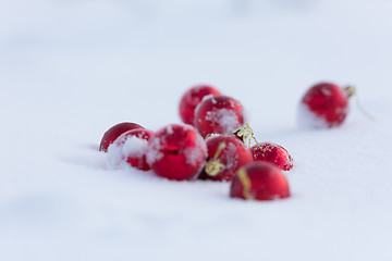 Image showing red christmas balls in fresh snow