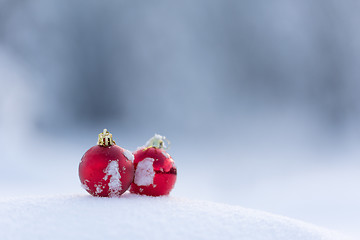 Image showing red christmas balls in fresh snow