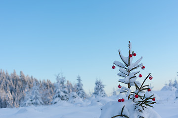 Image showing christmas balls on pine tree