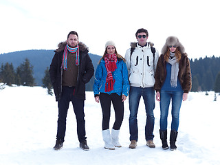 Image showing group of friends have fun and relaxing on winter vacation