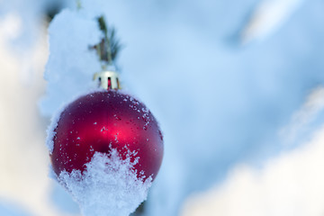 Image showing christmas balls on pine tree