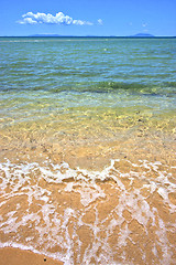 Image showing beach seaweed in indian ocean nosy be   and foam