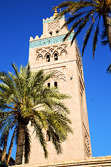 Image showing history in maroc africa palm  and the blue   