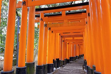 Image showing Fushimi Inari Shrine Torii in kyoto Japan