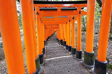 Image showing Fushimi Inari Shrine Torii in kyoto Japan