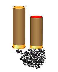 Image showing hunting cartridges