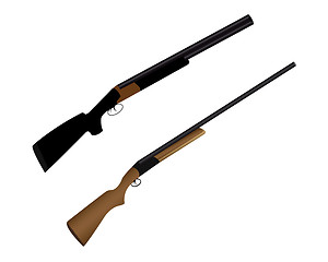 Image showing two guns for hunting